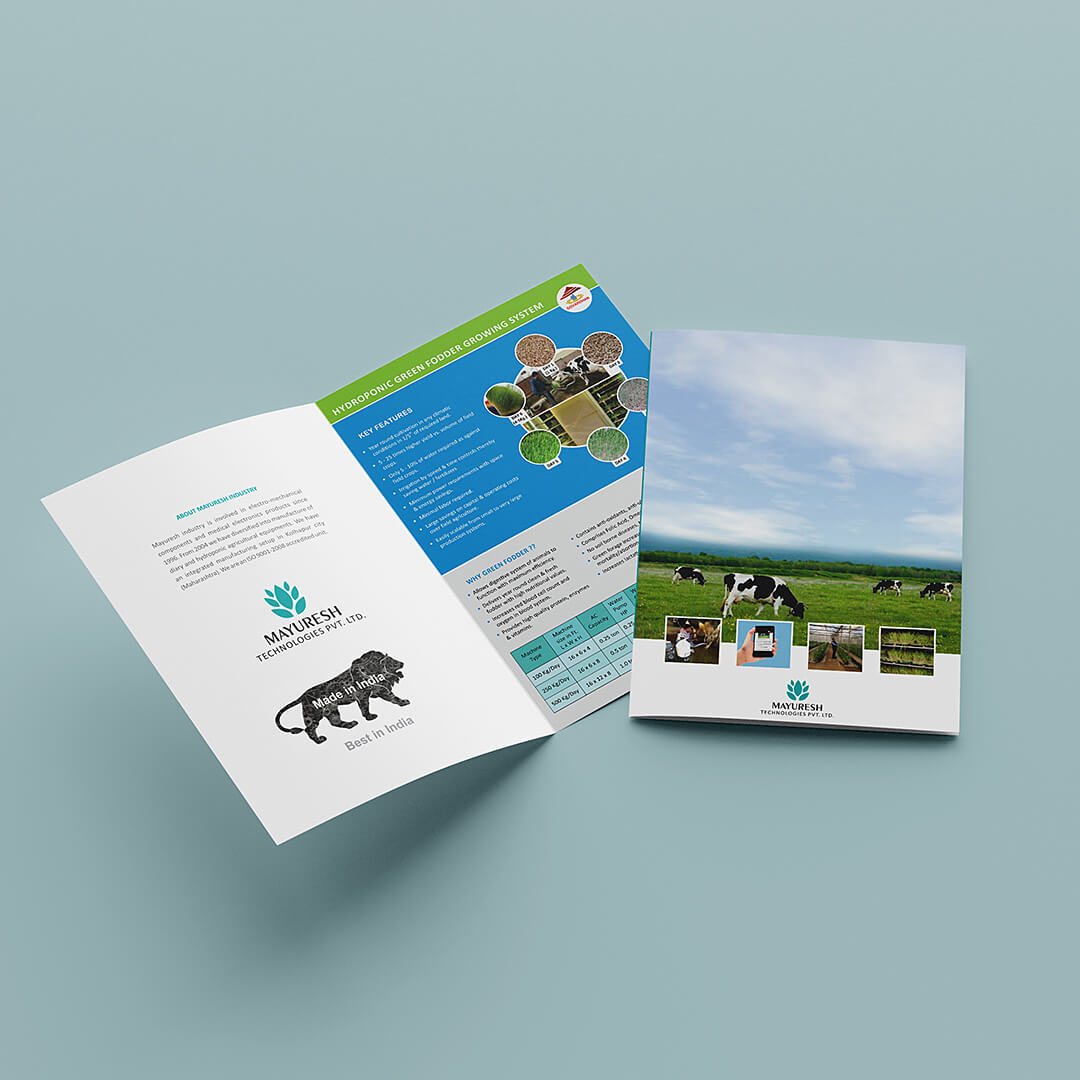 Bi-fold Brochure